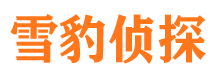 沈丘侦探公司